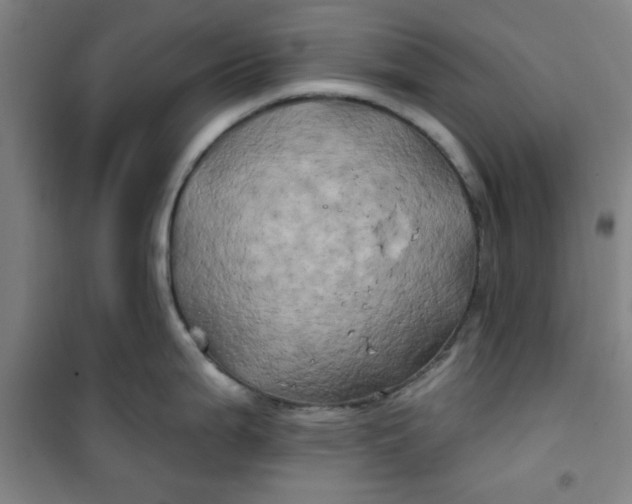 X0000100971199200807151344