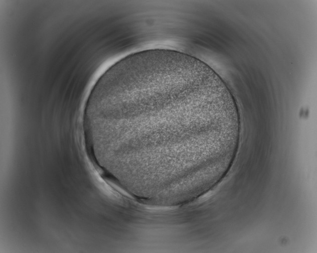 X0000100971200200807151344