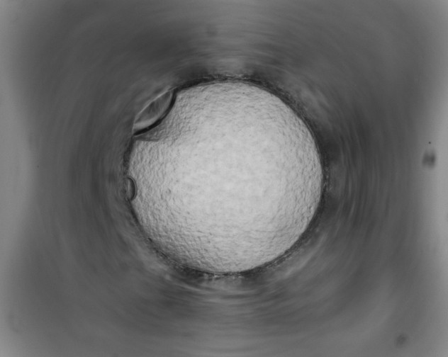 X0000100971201200807151343