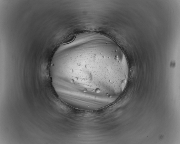 X0000100971202200807151343