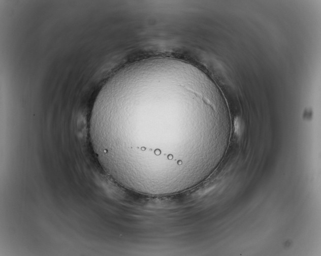 X0000100971203200807151343