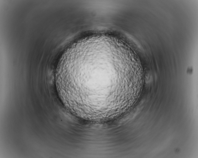 X0000100971204200807151343
