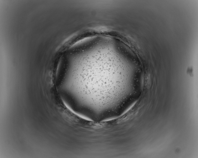X0000100971205200807151343