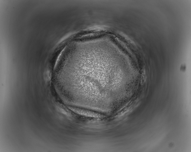 X0000100971206200807151343