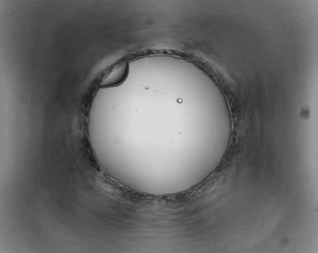 X0000100971207200807151343