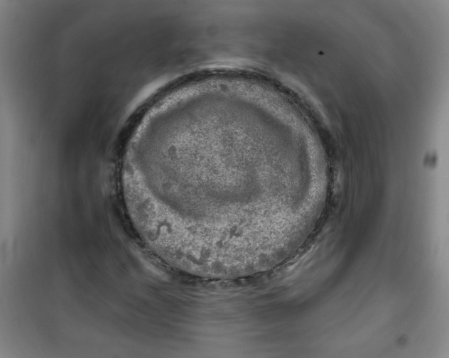X0000100971208200807151343