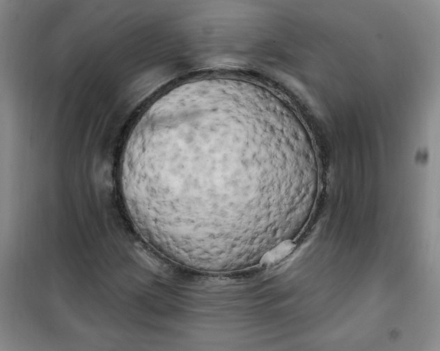 X0000100971209200807151343