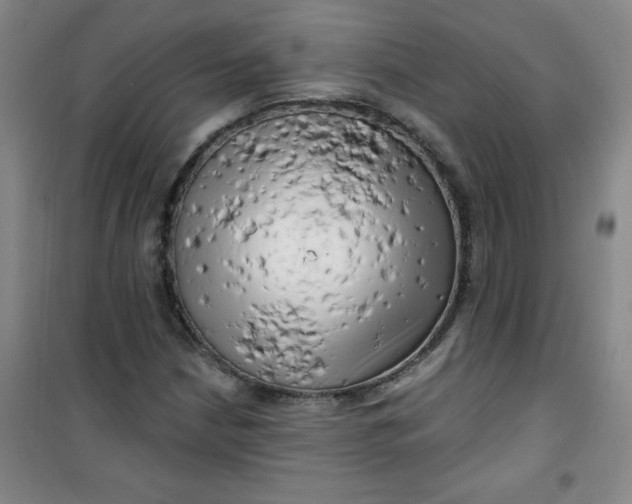 X0000100971210200807151343