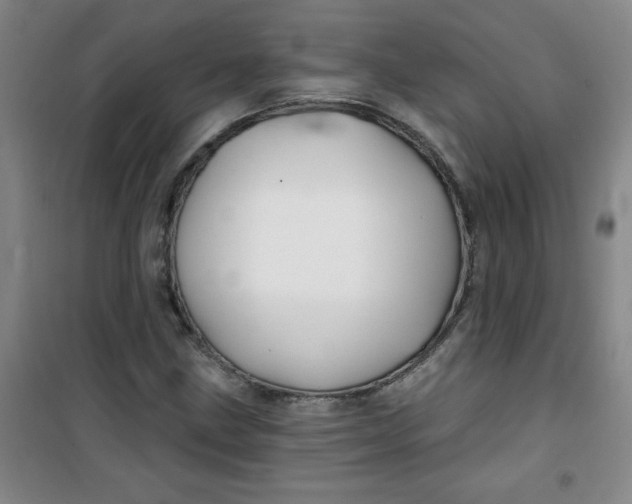 X0000100971211200807151343