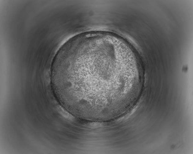 X0000100971212200807151343