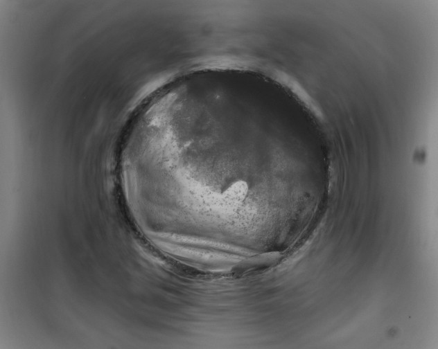X0000100971213200807151343