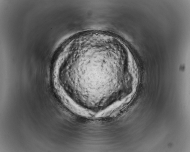 X0000100971214200807151343