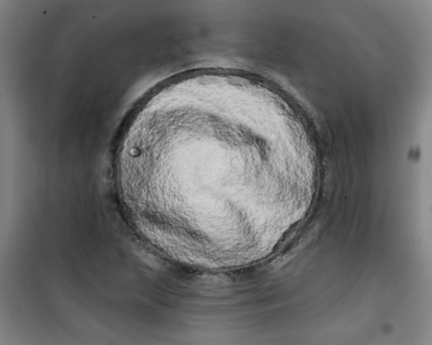 X0000100971215200807151343