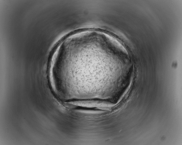 X0000100971216200807151343