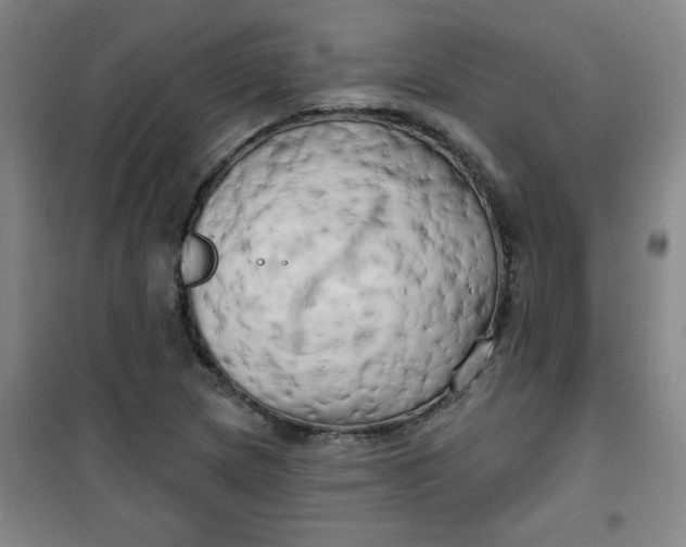 X0000100971217200807151343