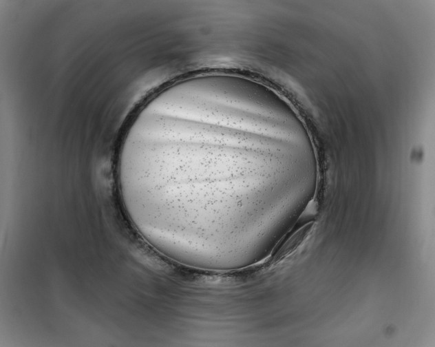 X0000100971218200807151343