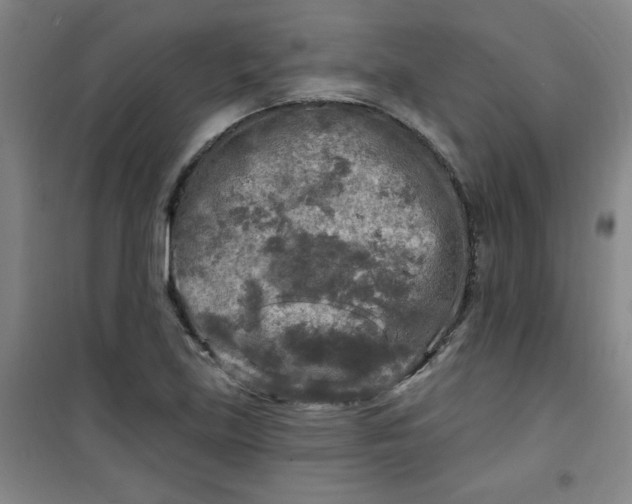 X0000100971219200807151343