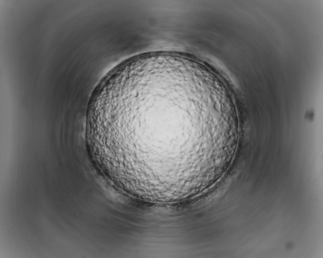 X0000100971220200807151343