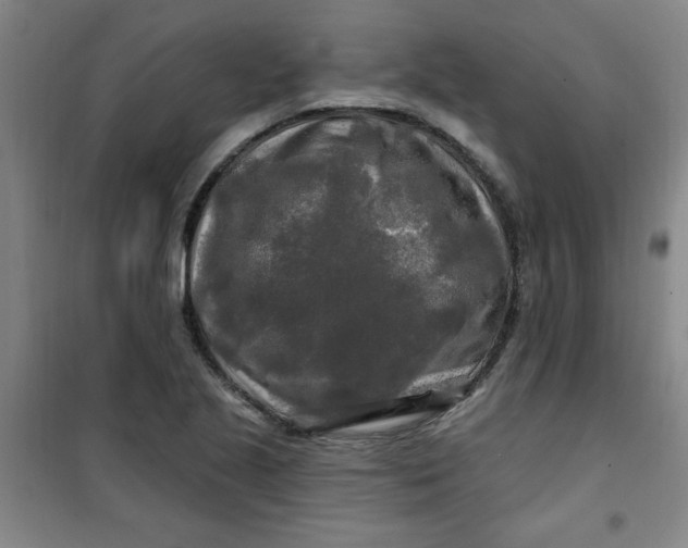 X0000100971221200807151343