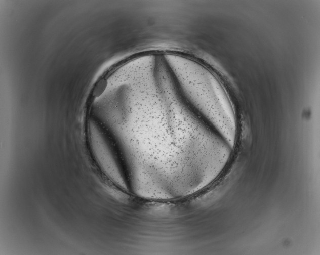 X0000100971222200807151343