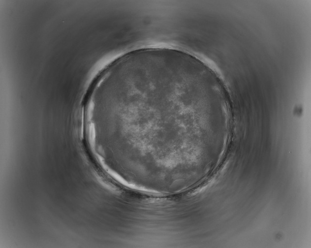 X0000100971223200807151343