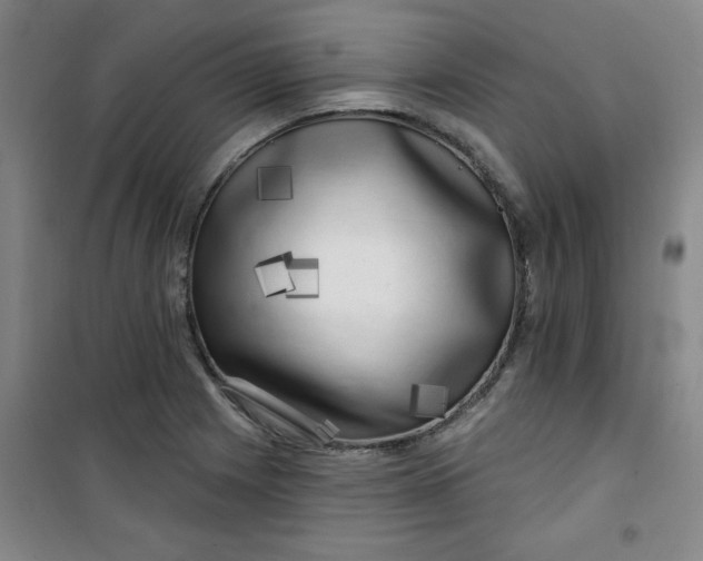 X0000100971225200807151344
