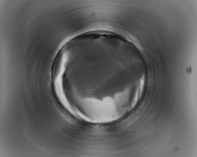 X0000100971226200807151344