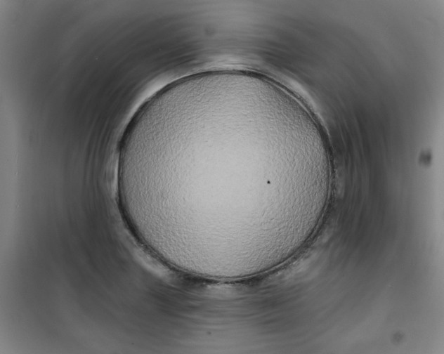 X0000100971227200807151344