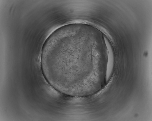 X0000100971228200807151344