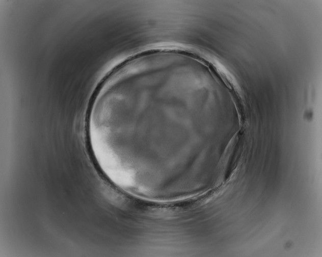 X0000100971229200807151344