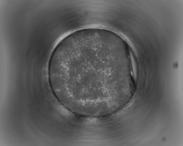 X0000100971230200807151344