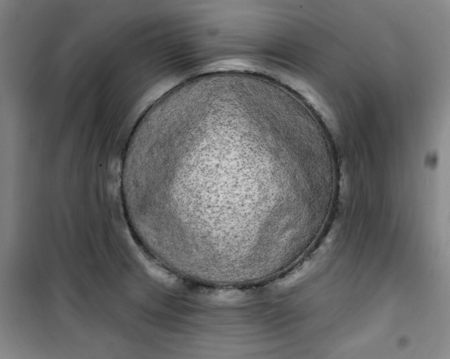X0000100971233200807151344
