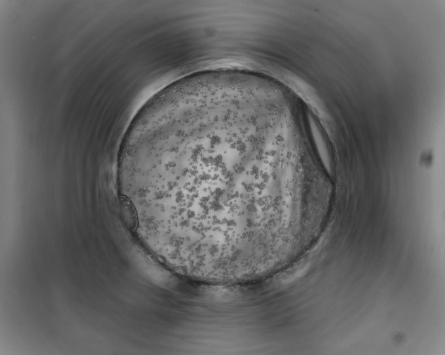 X0000100971234200807151344