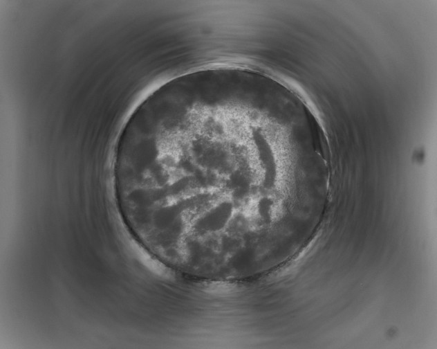X0000100971235200807151344