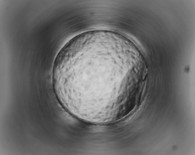 X0000100971236200807151344