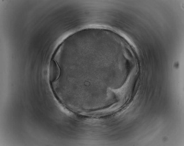 X0000100971237200807151344