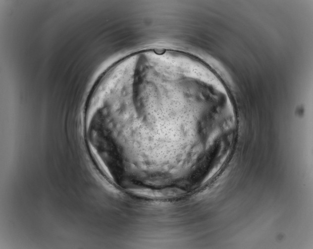 X0000100971238200807151344