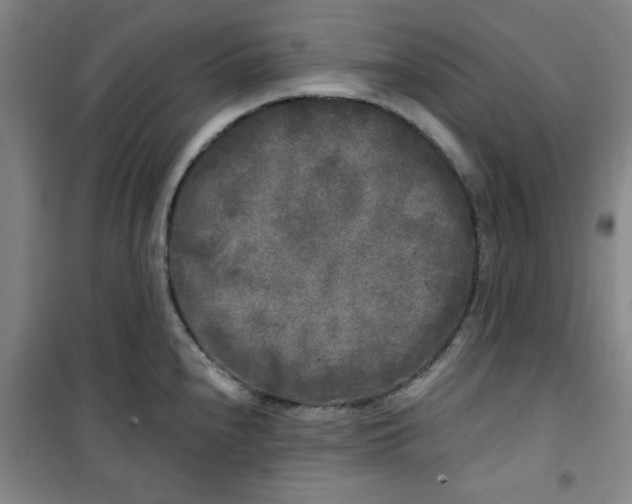 X0000100971240200807151344
