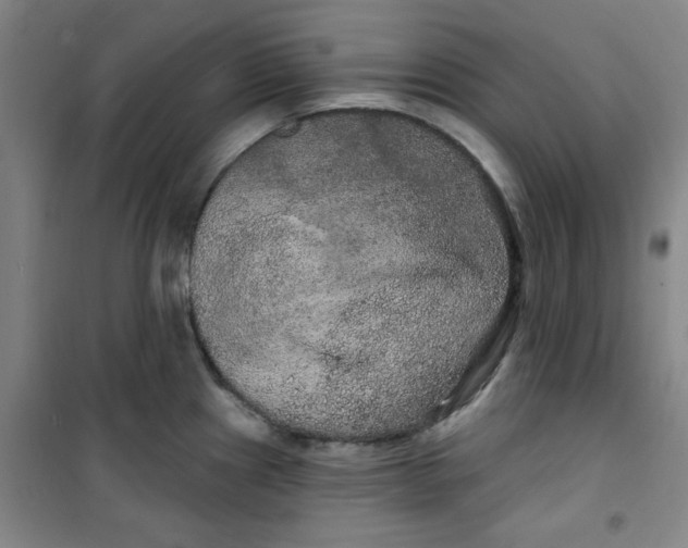 X0000100971241200807151344