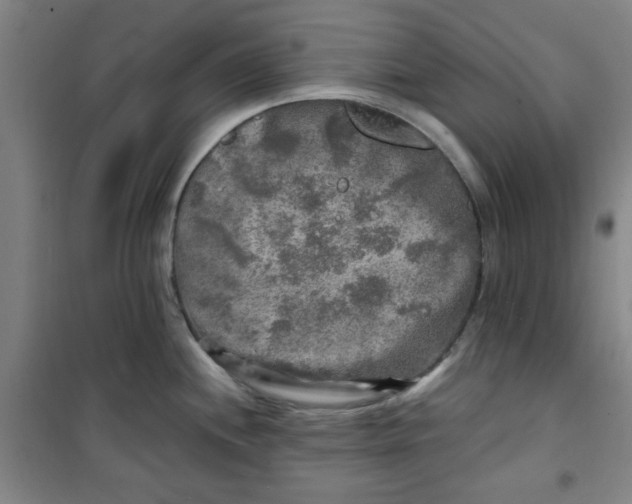 X0000100971244200807151344