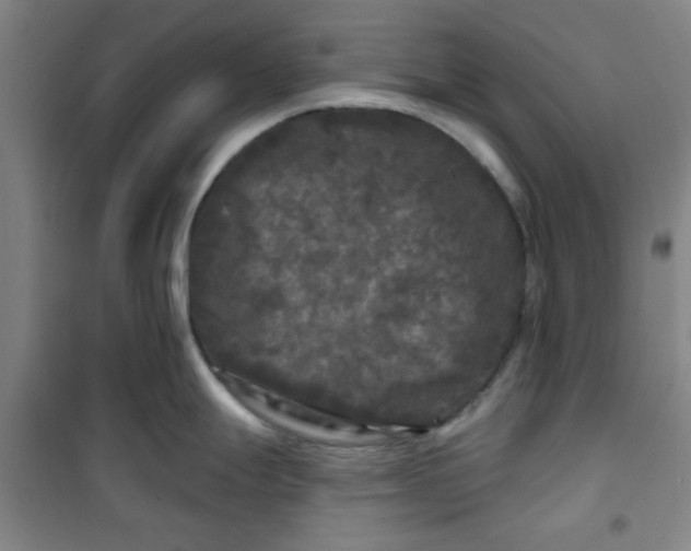 X0000100971247200807151344