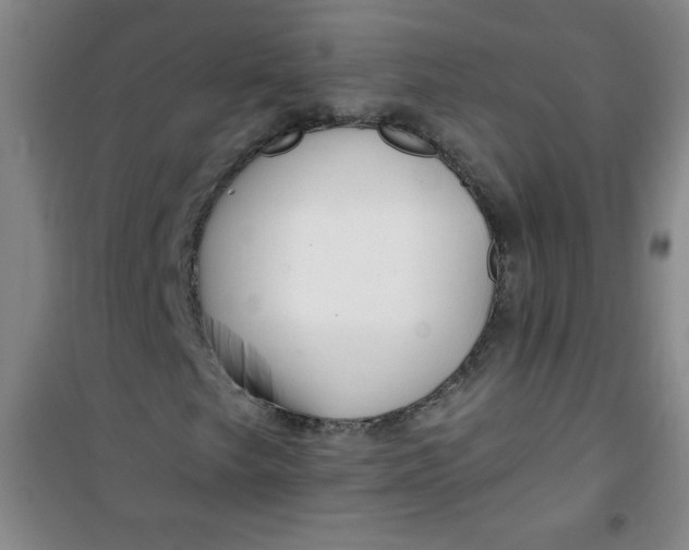 X0000100971249200807151343