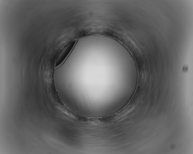 X0000100971250200807151343