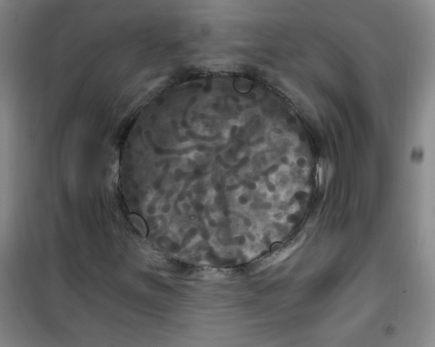 X0000100971251200807151343
