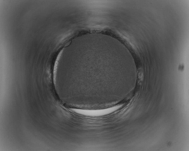 X0000100971252200807151343