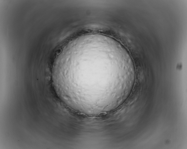 X0000100971253200807151343