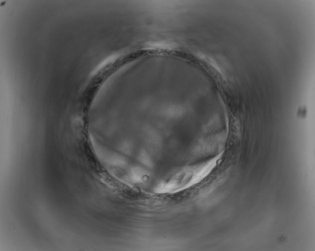 X0000100971254200807151343