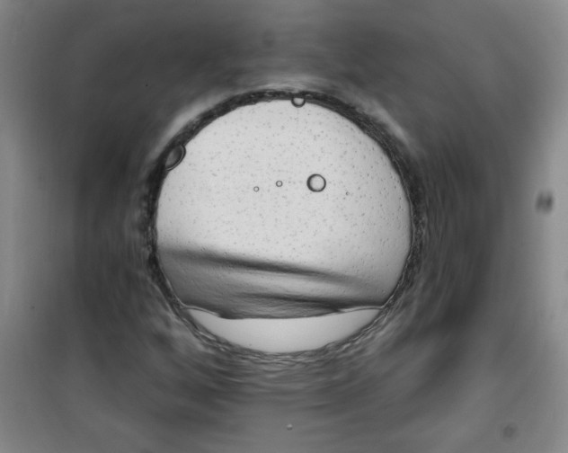 X0000100971256200807151343