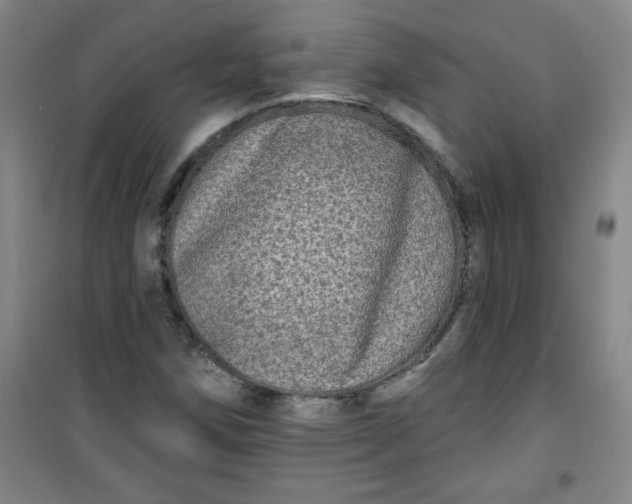 X0000100971258200807151343