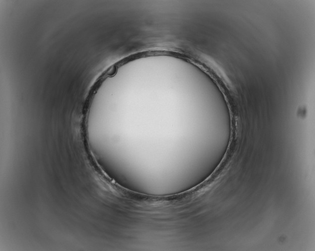 X0000100971260200807151343